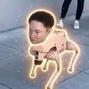 Doglon