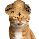 Catwhifchrom