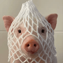 w/Pig