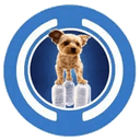 DOG USDC