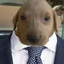 José