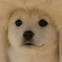 FRODO