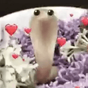 worm