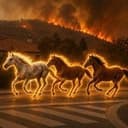 HORSES