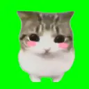 棱角猫