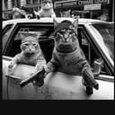 CATZ