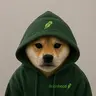 hood