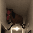 HorseSpide