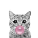 Gum
