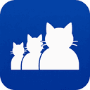 MeowSpace