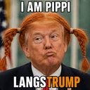 pipitrump