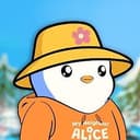 ALICE