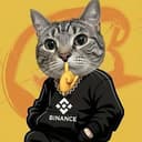 funny cat