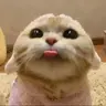 blep