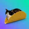 tacocat