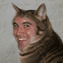 Tomcat