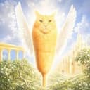 corncat