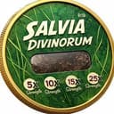 SALVIA