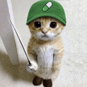 PUMPCAT