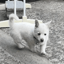 ˢᵐᵒˡ