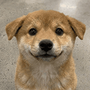 pup