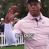 BIGDOG