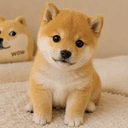 BABYDOGE