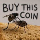 flysex
