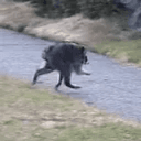 Jimothy