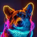 ndog