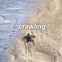 CRAWLING