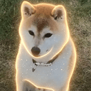 こはる