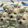 Money