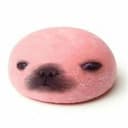 dogrot
