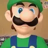 LUIGI