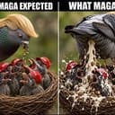 MAGA