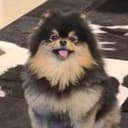 YEONTAN
