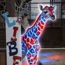 Liberty