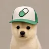Pupfun