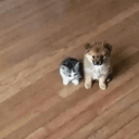 ˢᵐᵒˡ