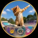 DEBBINGCAT