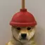 PLUNGER