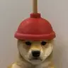 PLUNGER