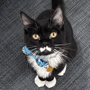 Selleck