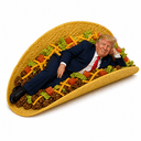TACO