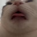 Licking