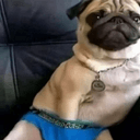 puge