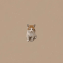 ₖₑᵥᵢ