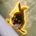 Orca
