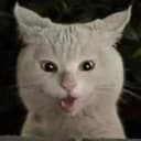 OHCAT